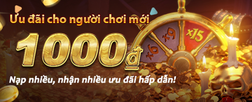 Promoção especial 979bet - VN6